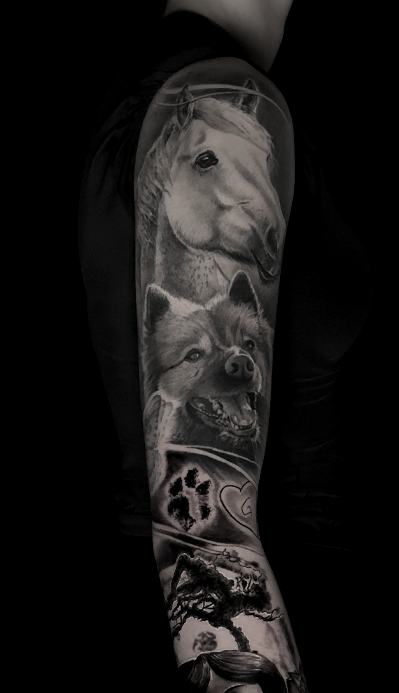 healed-black-and-grey-dog-horse-portrait-black-and-grey-realism-tattoo.png