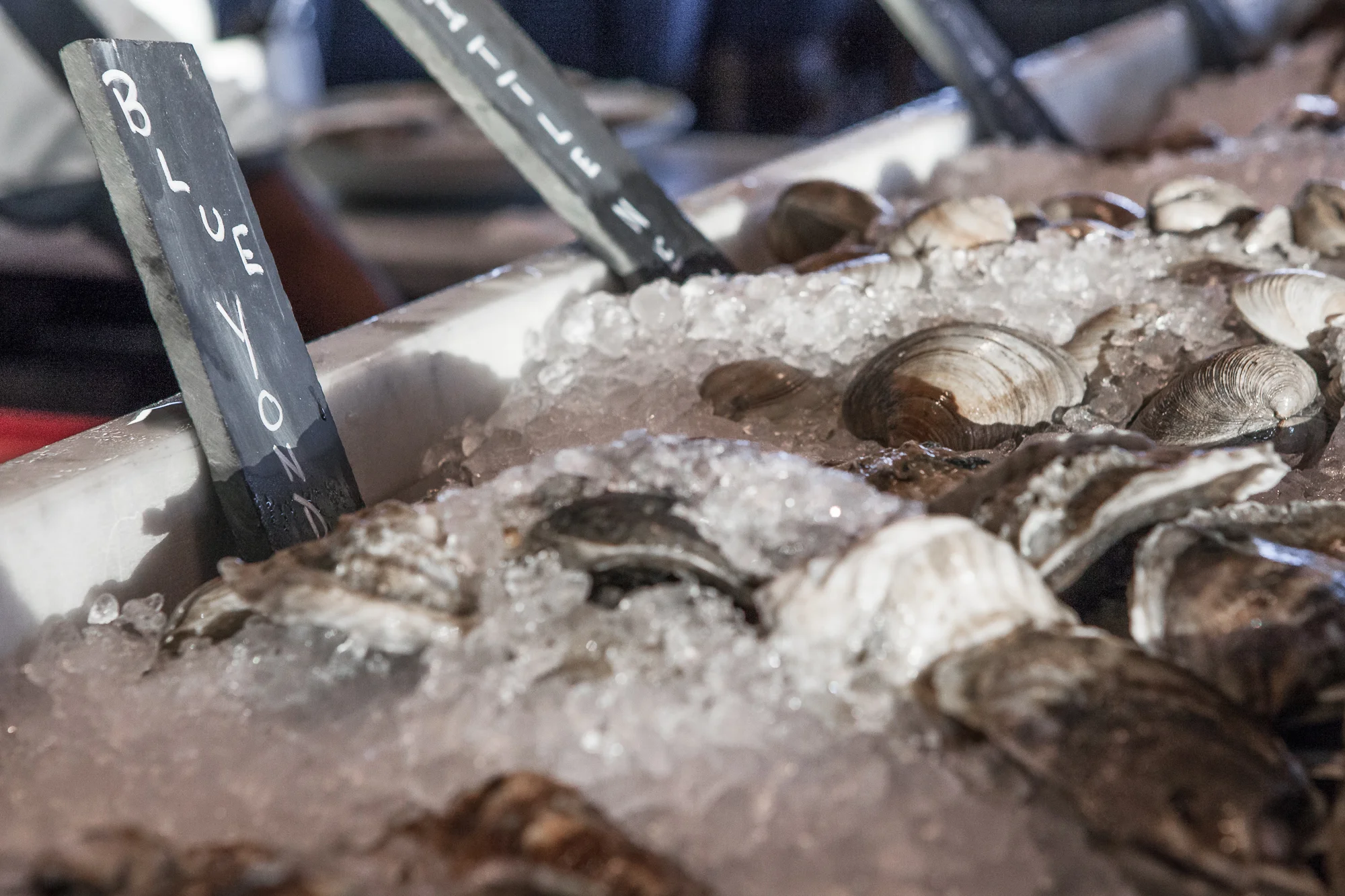 Raw Bar