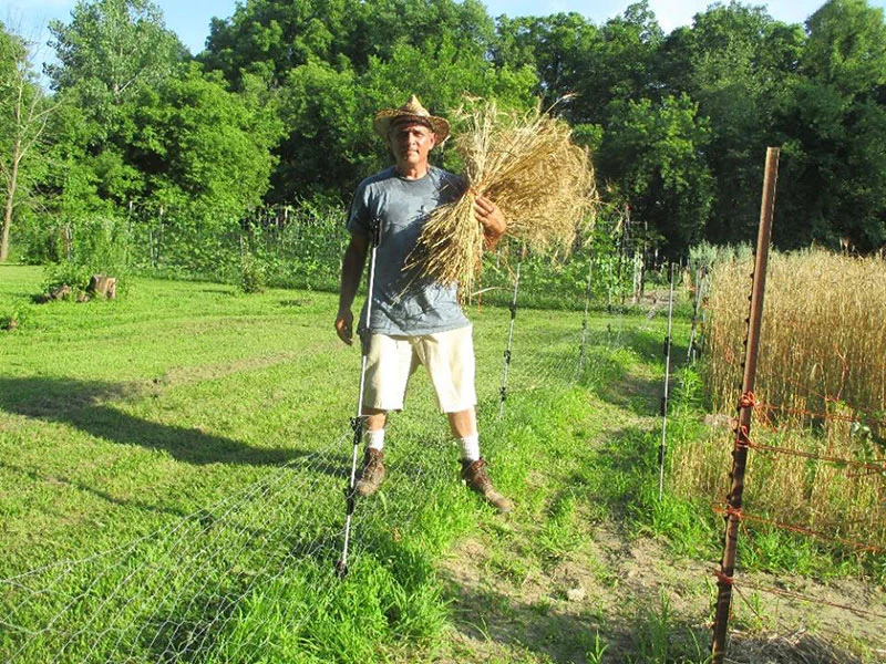 sherck-seeds.jpg