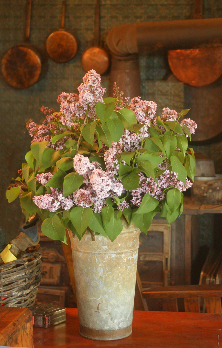 Fading lilac and copper pans