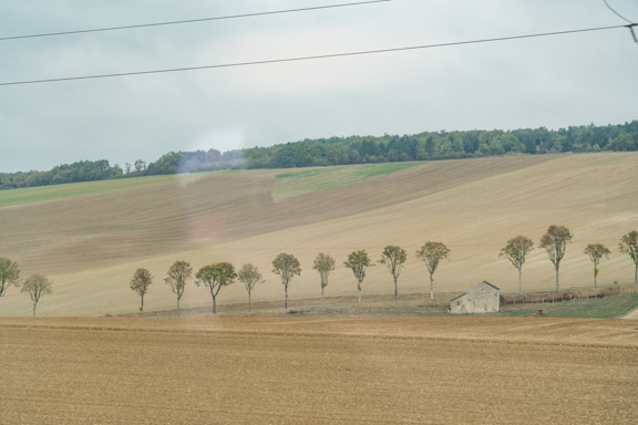 Trees and house, from the train