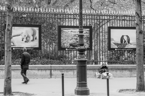 Public photo exhibit, Paris