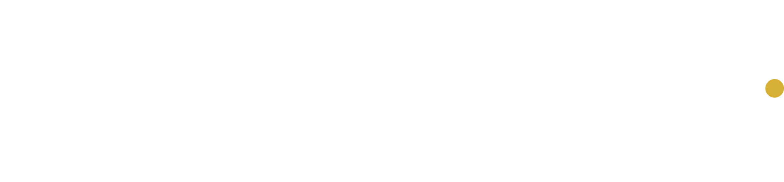 20180718 - Synergine Logo - wht copy.png