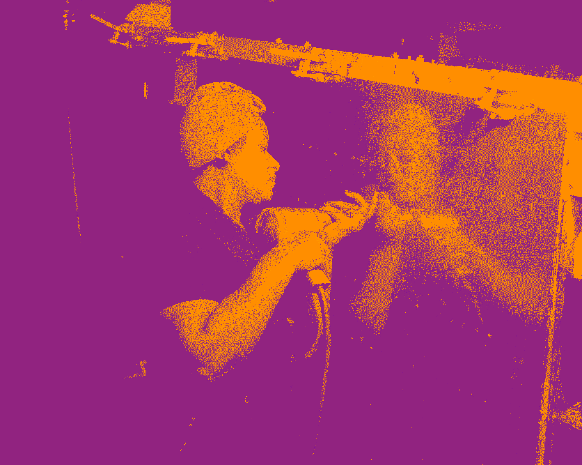TRIBE-WPA-_Rosie-PURPLE+YELLOW.png