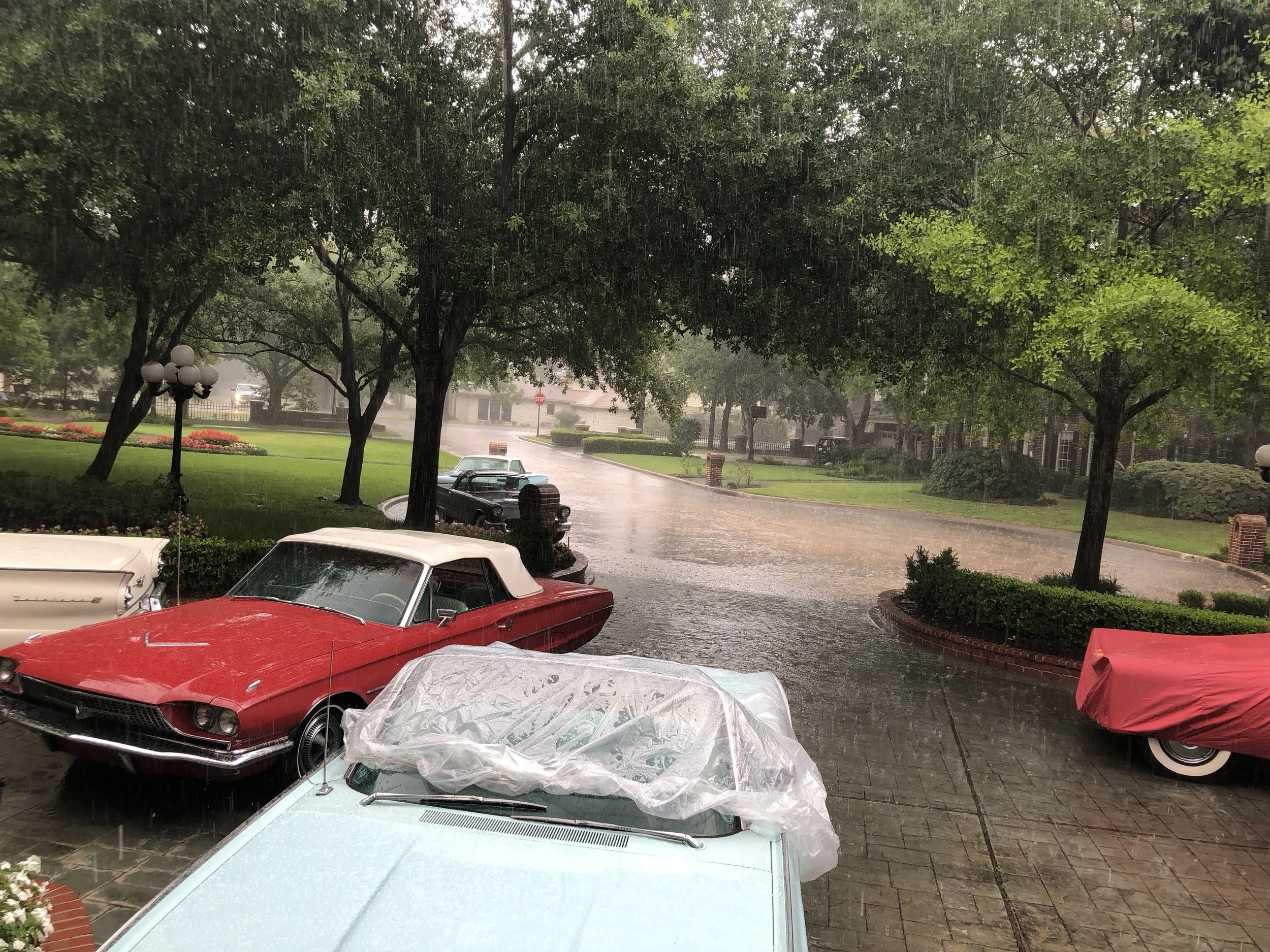 Tbird day-rain.JPG