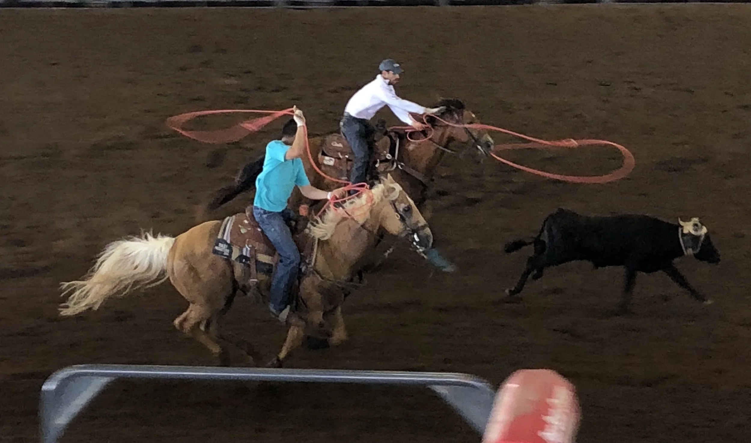 Roping2.jpg