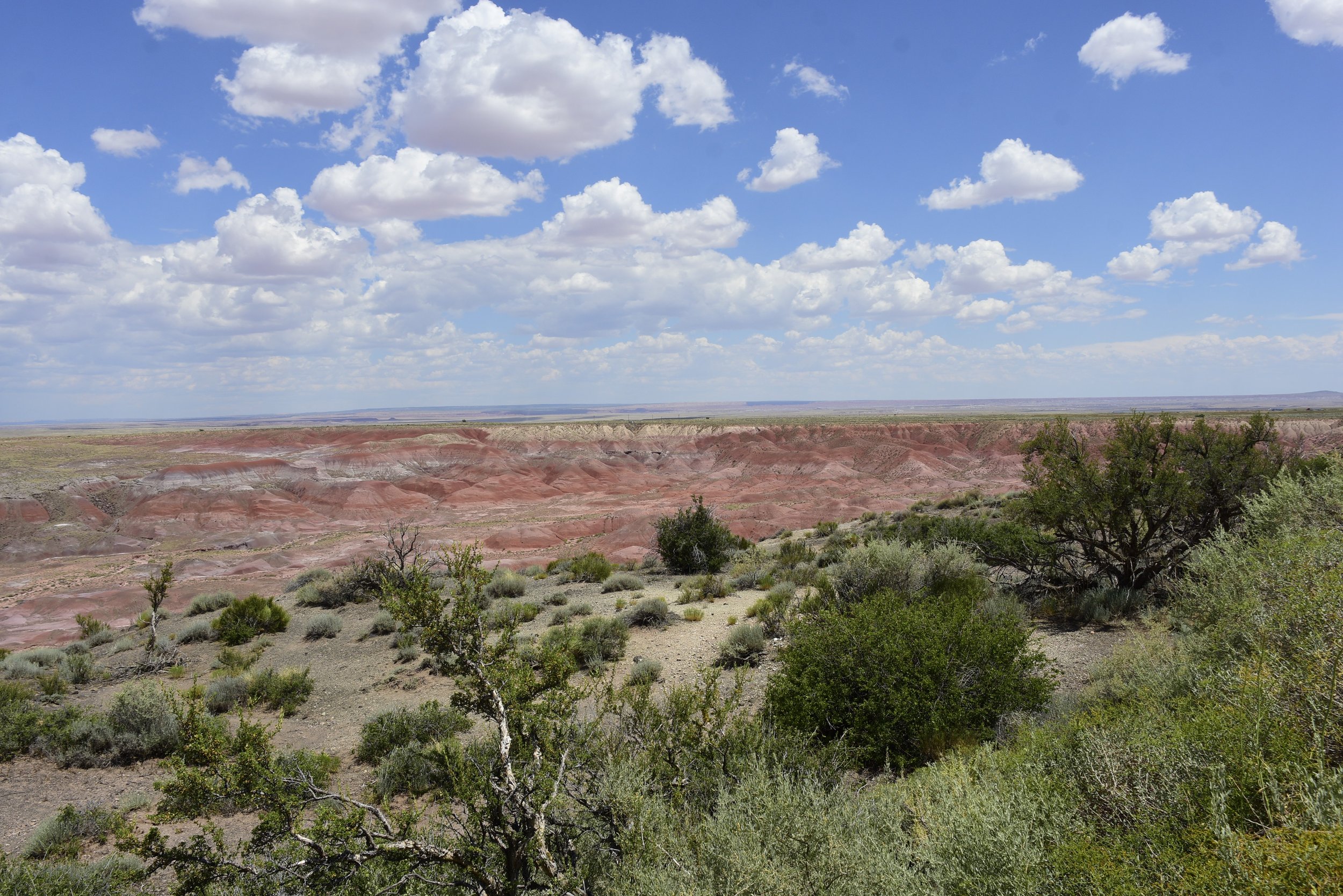 Arizona Painted Desert Photo by Carrie Crocker