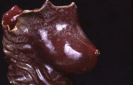 Heather Davis Milk Pitcher 26 detail.jpg