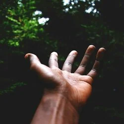 Why I Trust My Naturopath