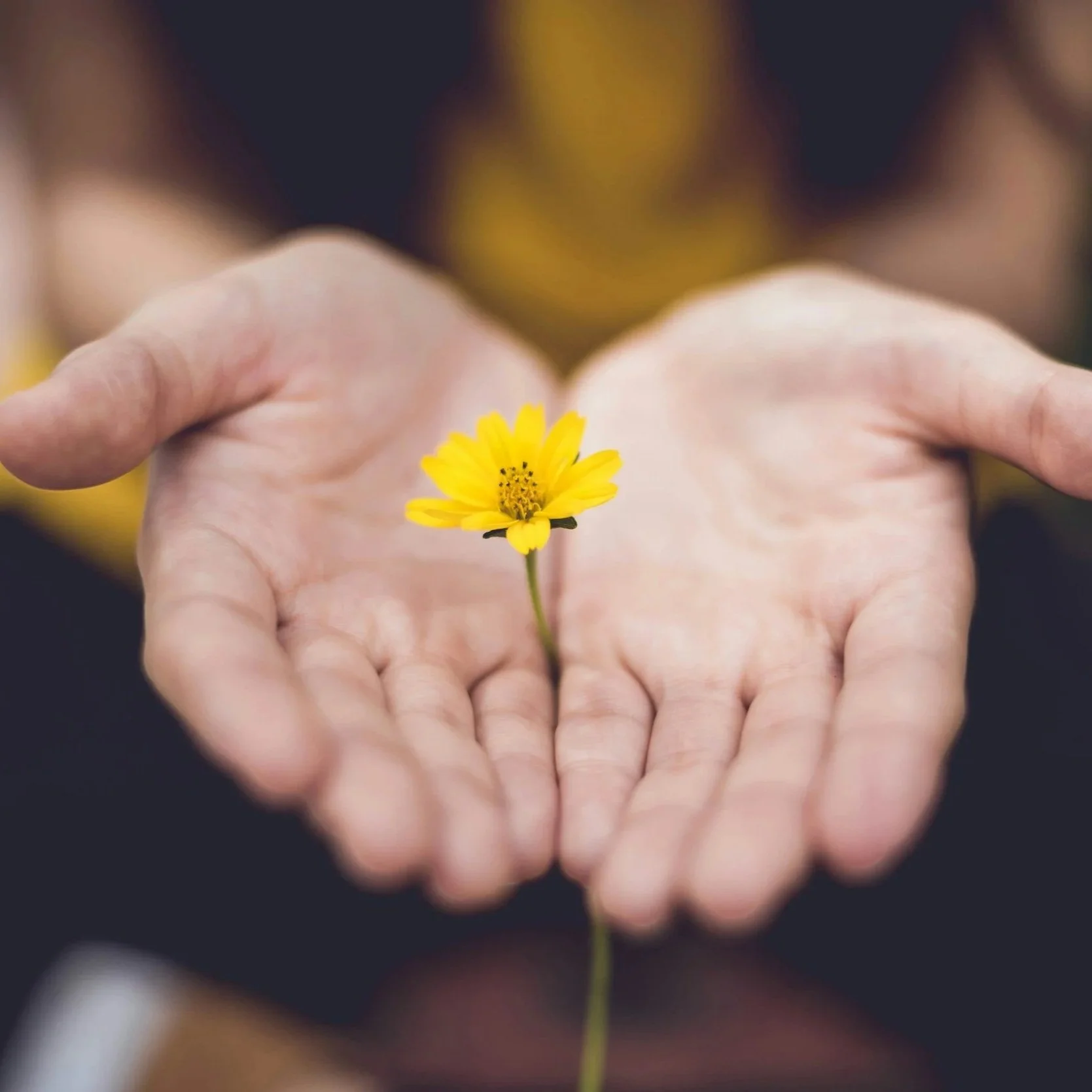 More Than an IV: The Relationships That Shape Healing