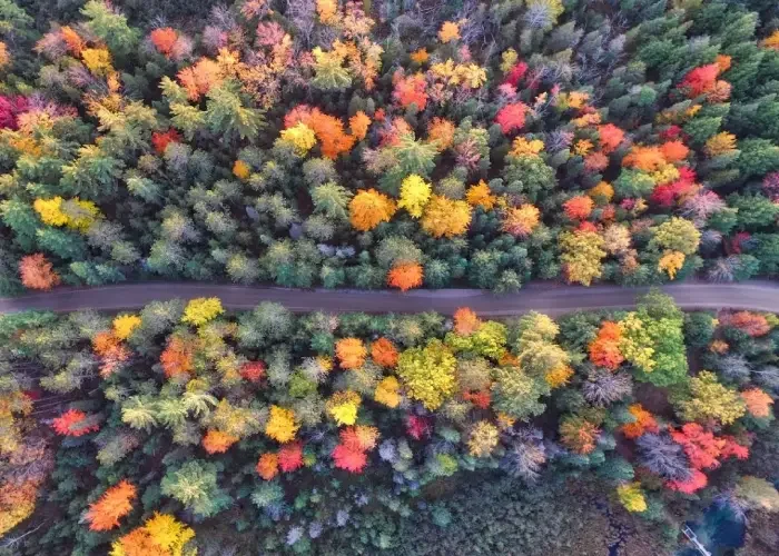 Routine and the Rhythms of Nature 