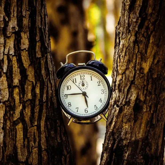 What is Intermittent Fasting and Why Is It Important?