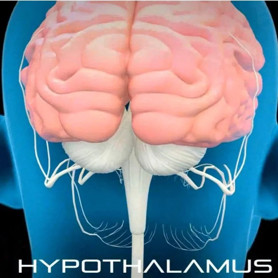 Quantum Biofeedback Body Viewer program