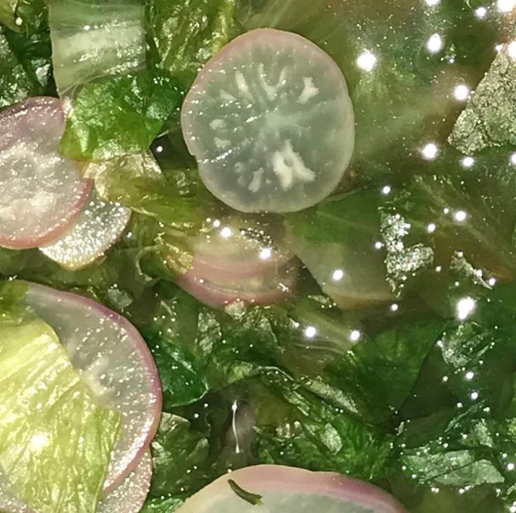 radish soup
