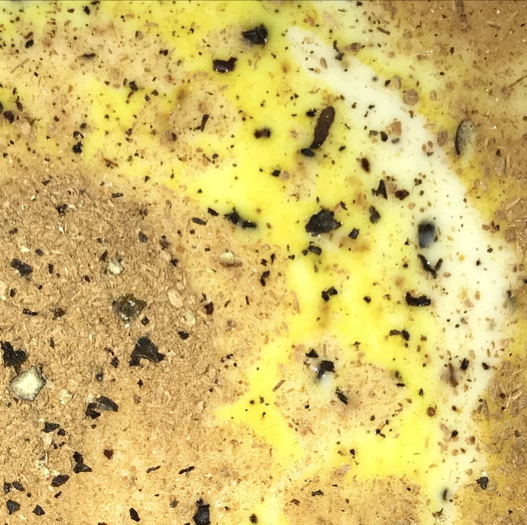 golden latte for kapha