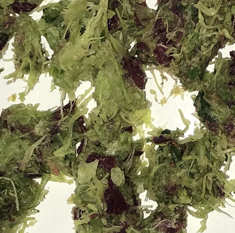 celery grape juice