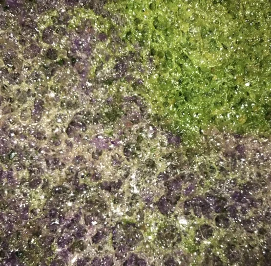 budget dosha diagnosis