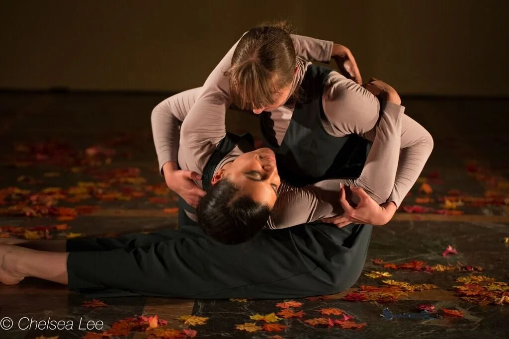 leaf piece still 2.jpg