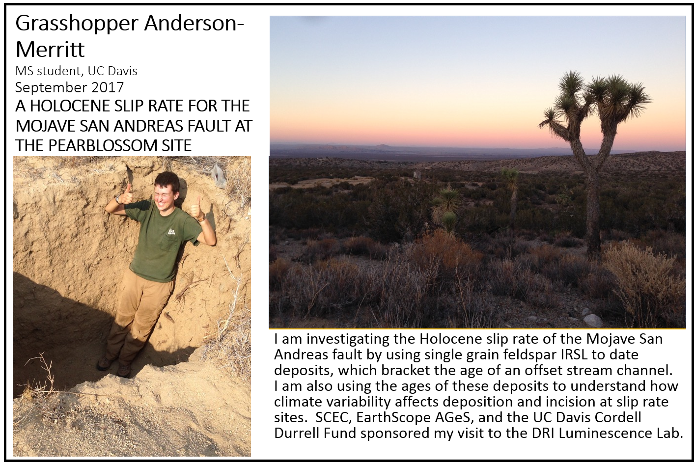 grasshopper.png