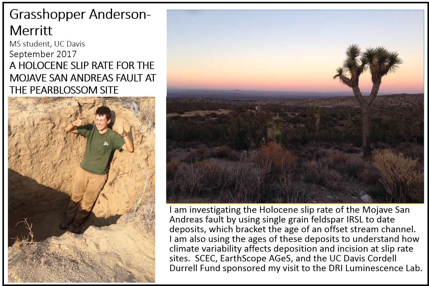 grasshopper.png