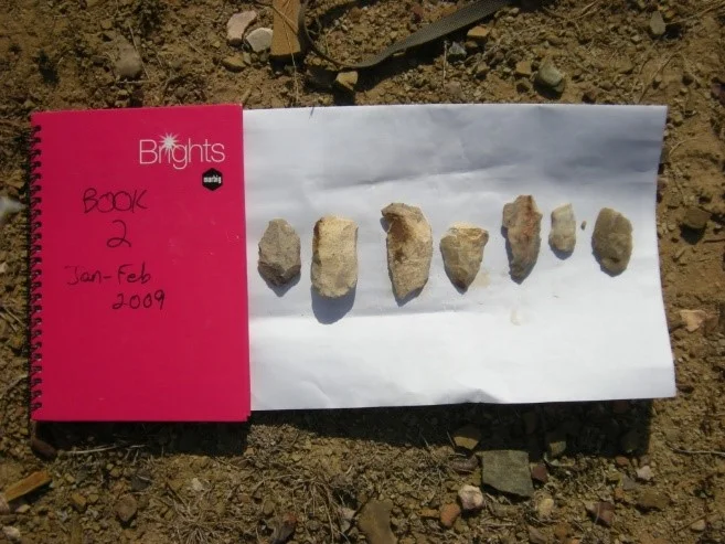 Neolithic stone tools excavated from the Middle Son Valley, Madhya Pradesh, India, 2009. Photo credit: Christina Neudorf.