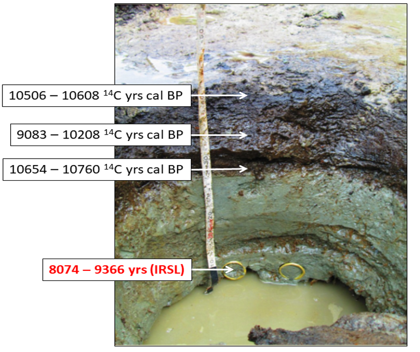 A comparison between radiocarbon and luminescence (IRSL) ages from peat and beach sand, respectively on Calvert Island, BC, Canada. Photo credit: Christina Neudorf.