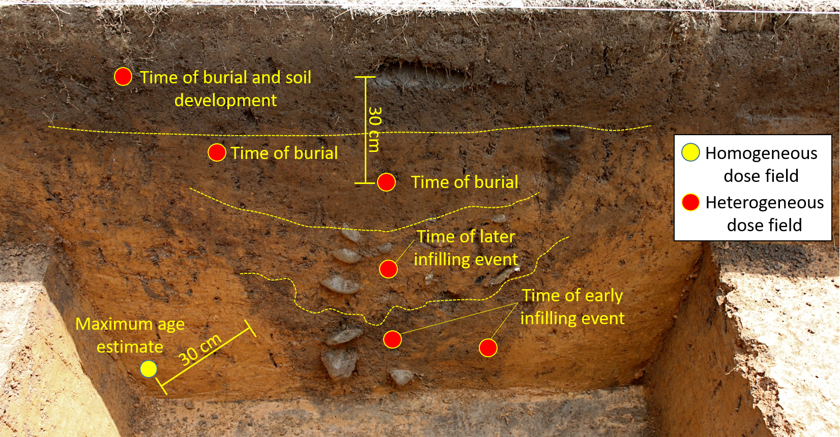 Possible sample sites (circles) for luminescence dating an earthwork ditch exposed in an archaeological trench at Garden Creek (Wright, 2011, “Earthwork Update” https://gardencreekarchaeology.wordpress.com/page/3/ ). The yellow circle shows a sample site where the gamma dose rate field is likely to be homogeneous. All other sample sites (red) are located in heterogeneous gamma dose rate fields. The 30 cm scale is hypothetical, and may not be accurate.