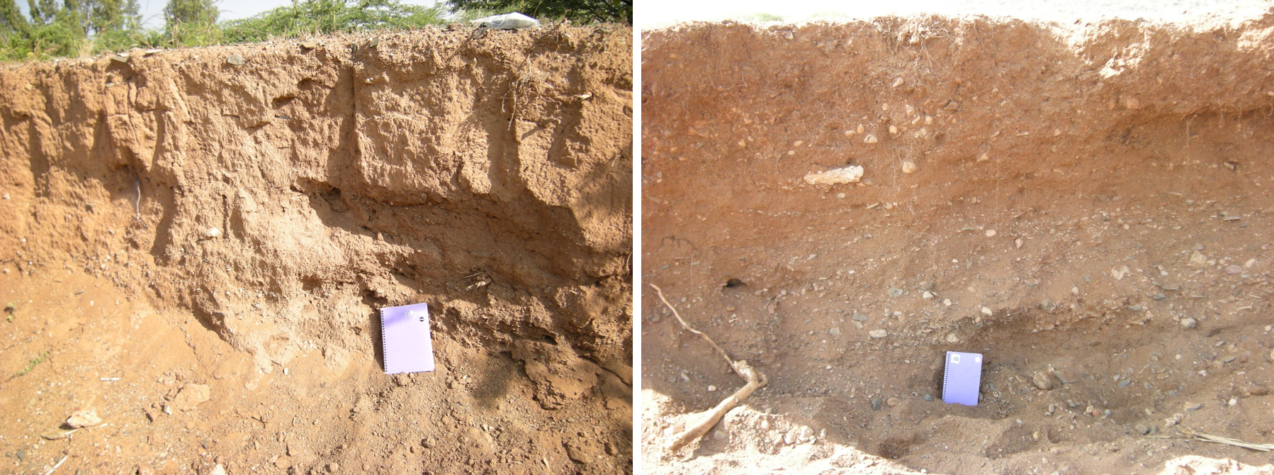 (LEFT) Before section cleaning. (RIGHT) After section cleaning.