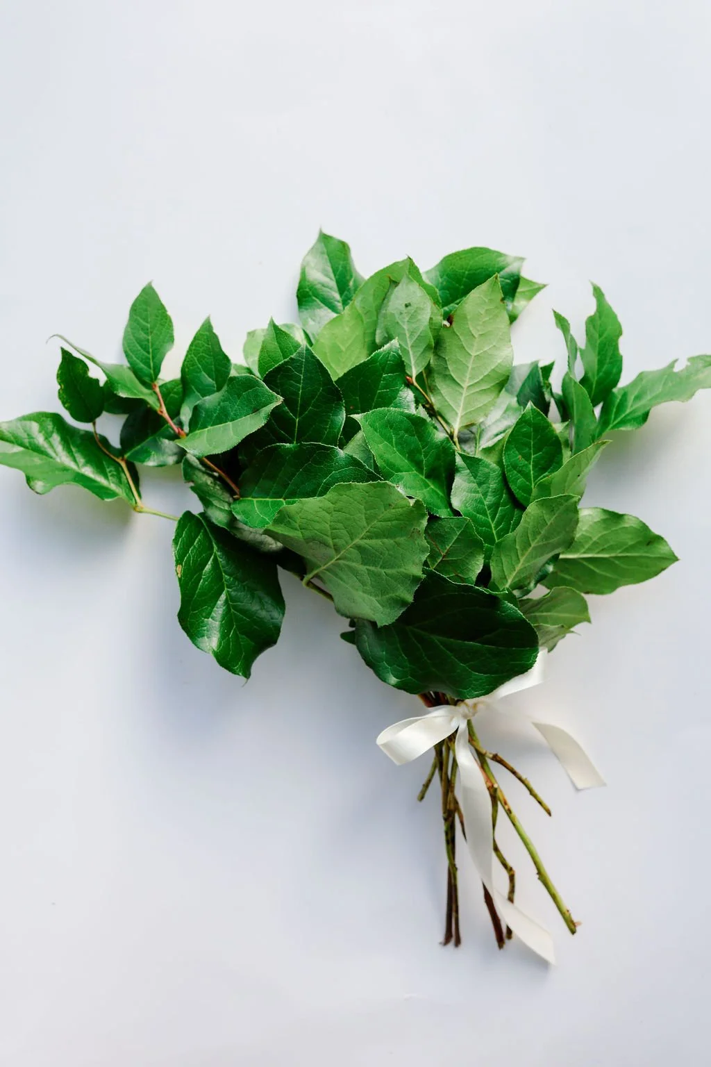 Salal Bunch $15