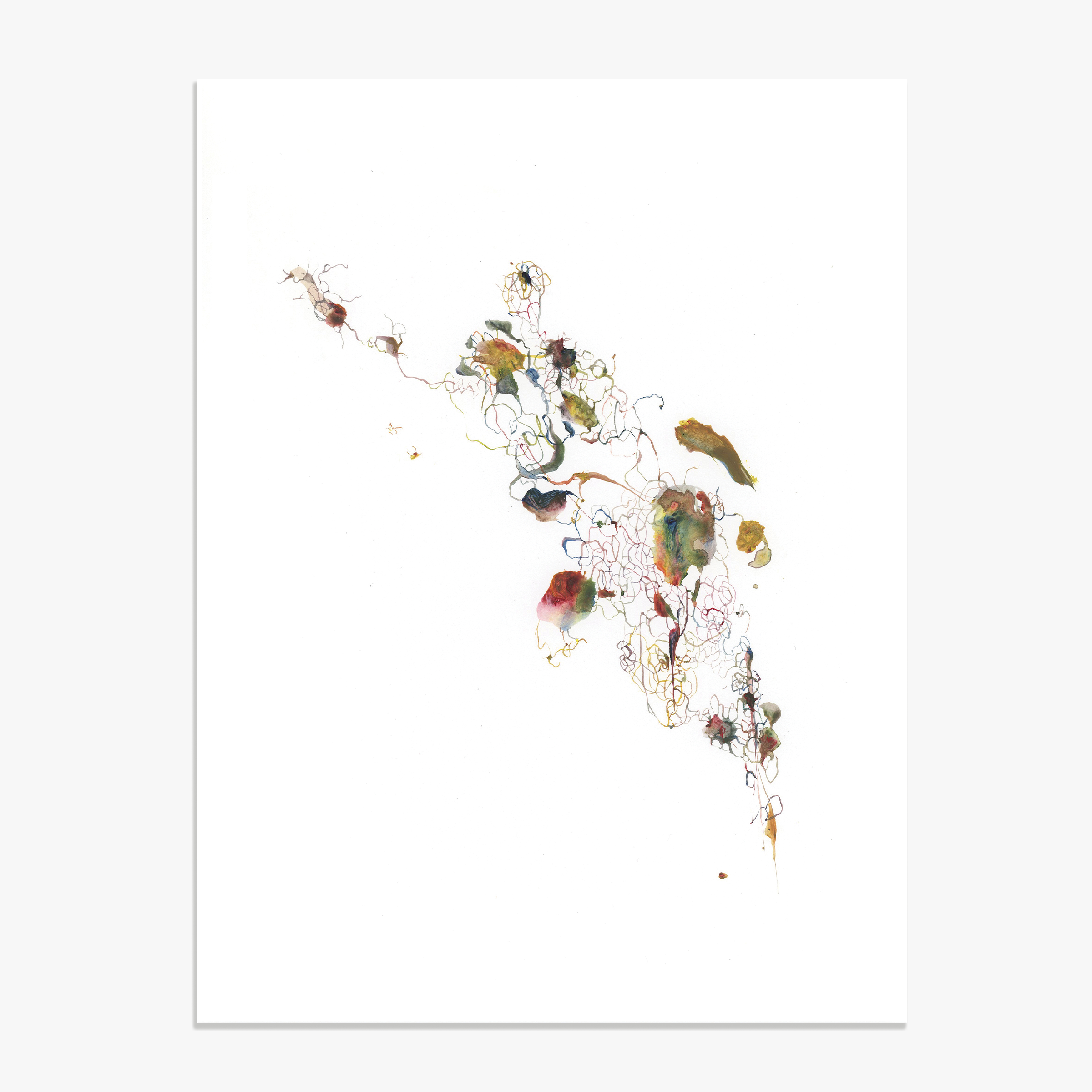 F/A#/Bb minor/G: Songs &amp; Webs