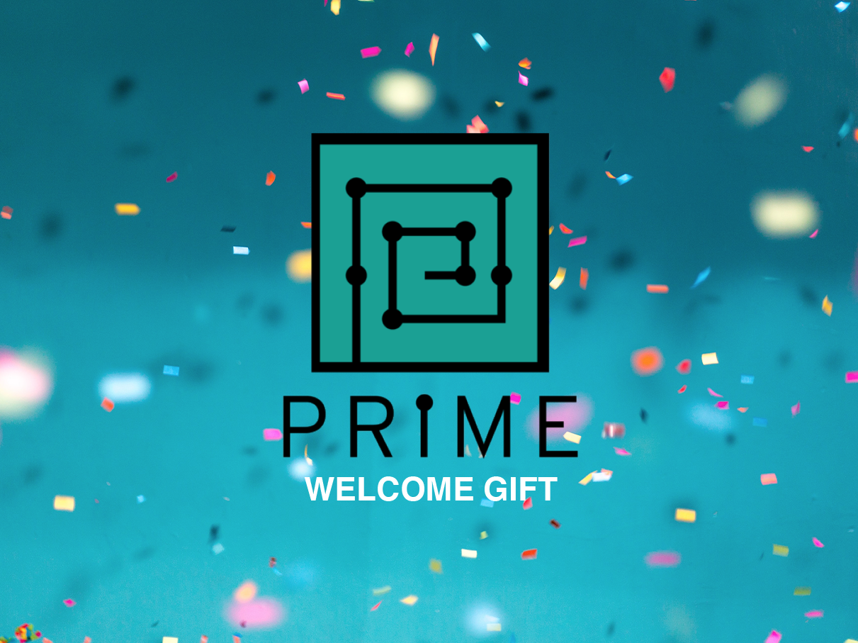 PRIME PORTFOLIO IMAGE PREVIEW.png