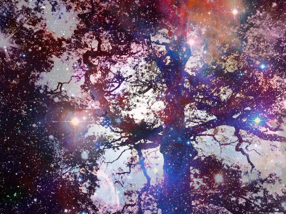 Awaken the Shaman Within – Level 1: Foundations of Universal Shamanism