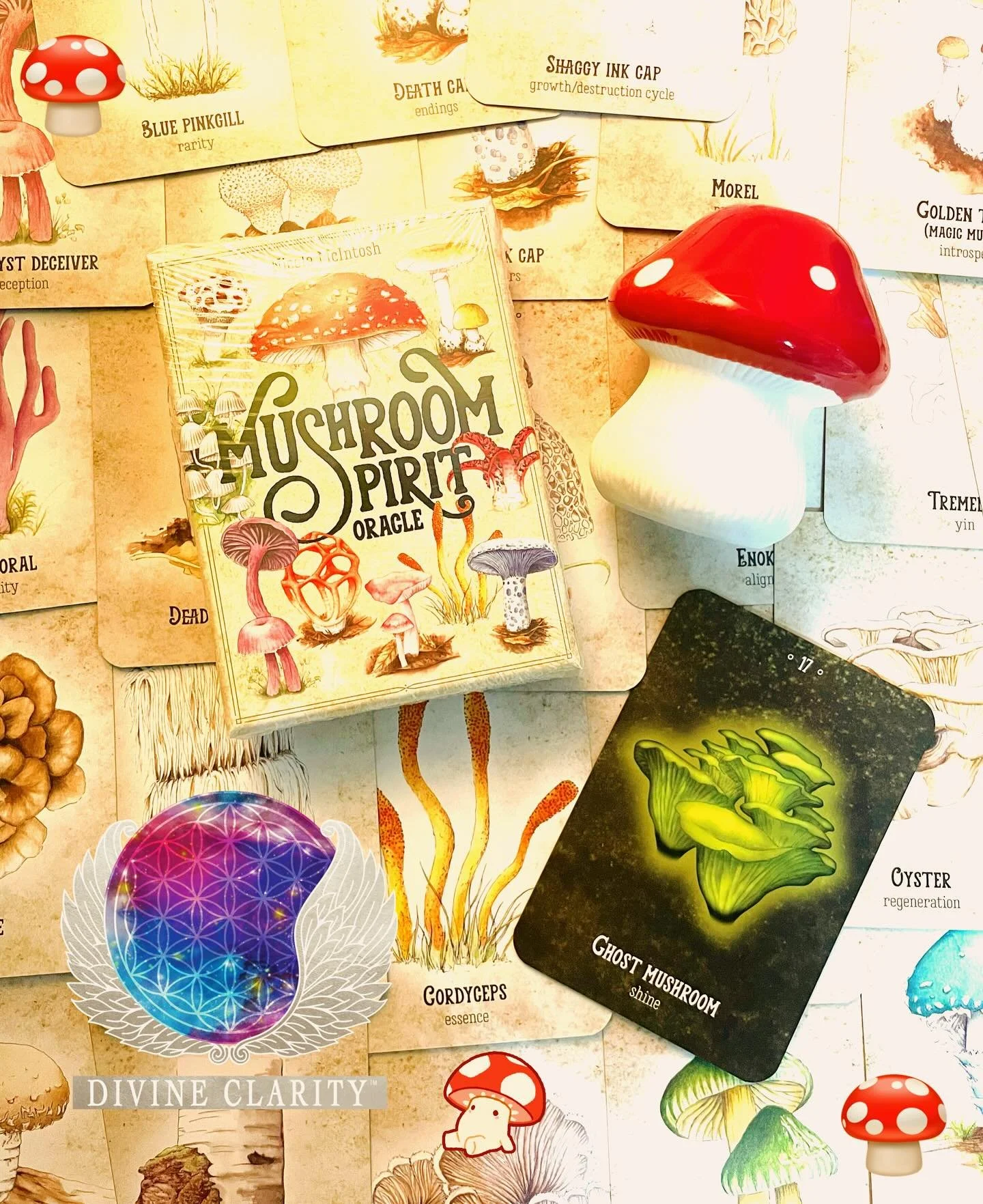 🔮 We’re open 10am - 6pm today! Come stop by our shop at 2071 Portage Avenue and check out all our new magical goodies we have to offer! 🔮
✨We also have an online shop: www.divineclarity.com 
Open 24/7, where you can check out everything we h