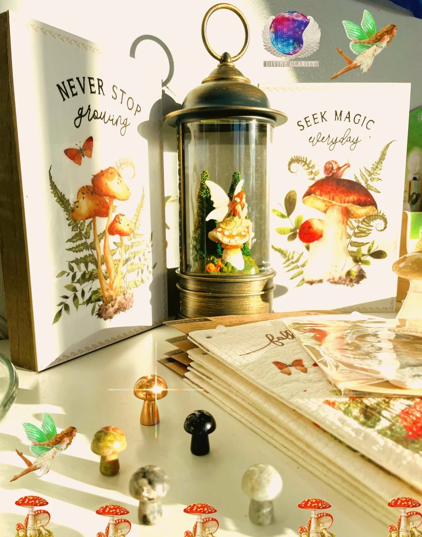 🍄 We&rsquo;re open 9am- 8pm today! Come stop by our shop at 2071 Portage Avenue and check out all our new magical goodies we have to offer! 🍄

✨We also have an online shop: www.divineclarity.com 
Open 24/7, where you can check out everything we hav