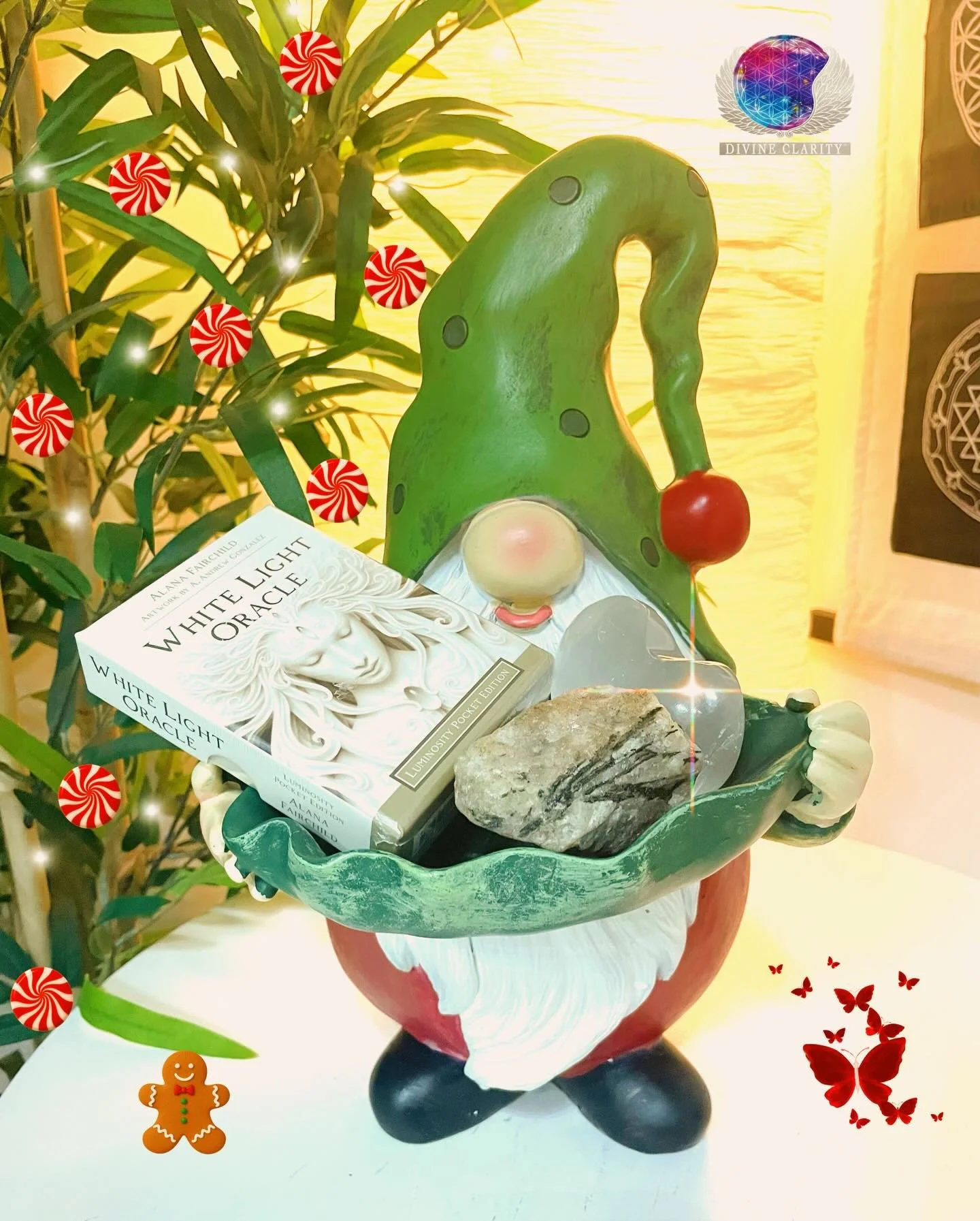 Our Gnomes are ready for Christmas 🎄 
Are you? 🎅 

🎁 Visit us today between 9am - 8pm today! Come stop by our shop at 2071 Portage Avenue and check out all our new magical goodies we have to offer! 🎁 

✨We also have an online shop: www.divineclar