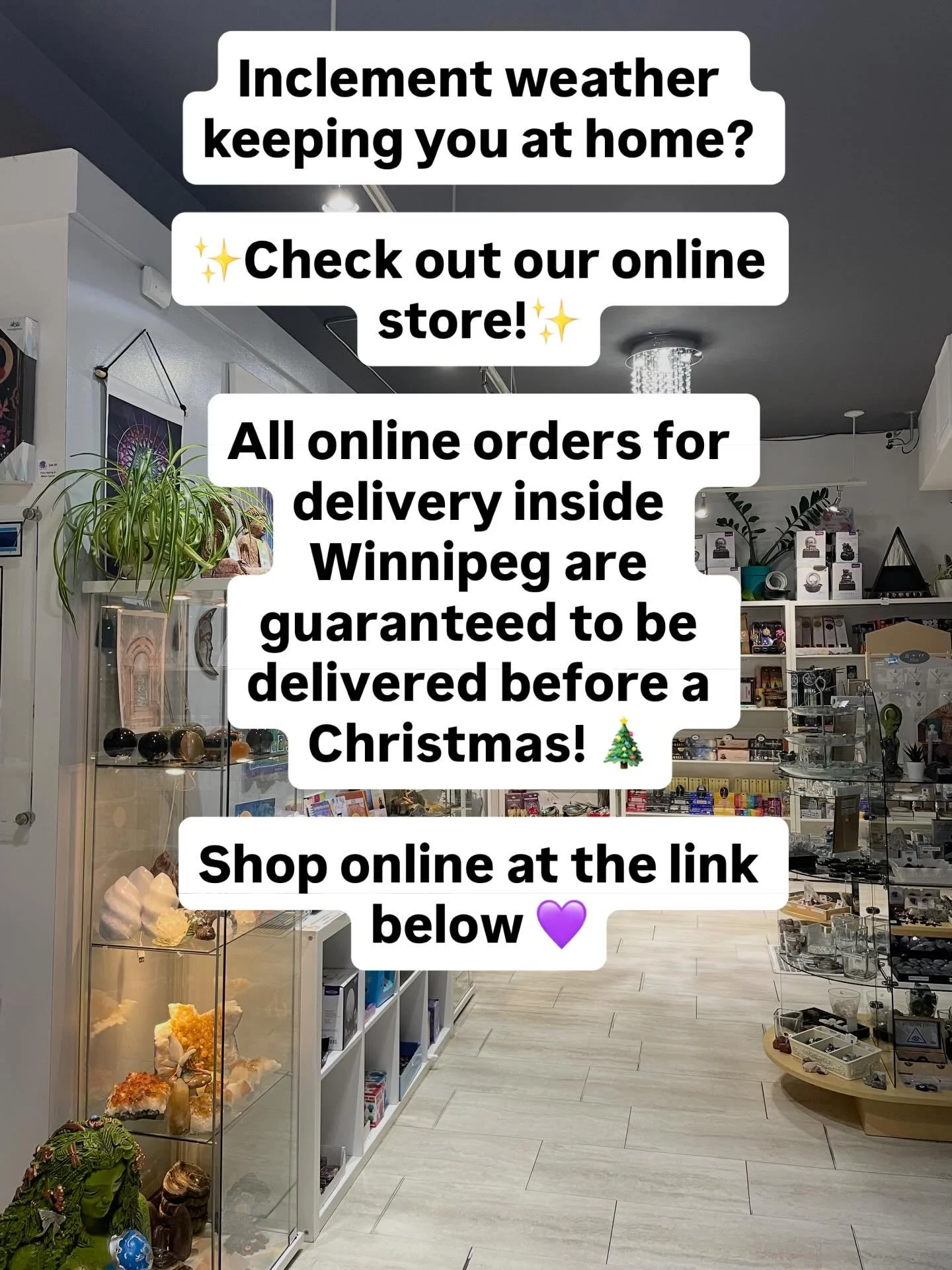 Shop online at www.divineclarity.shop for guaranteed delivery within Winnipeg before Christmas! 🎄 ✨💚 

You can also still shop in store! We&rsquo;re open 9am - 5pm today! Come stop by our shop at 2071 Portage Avenue and check out all our magical gi