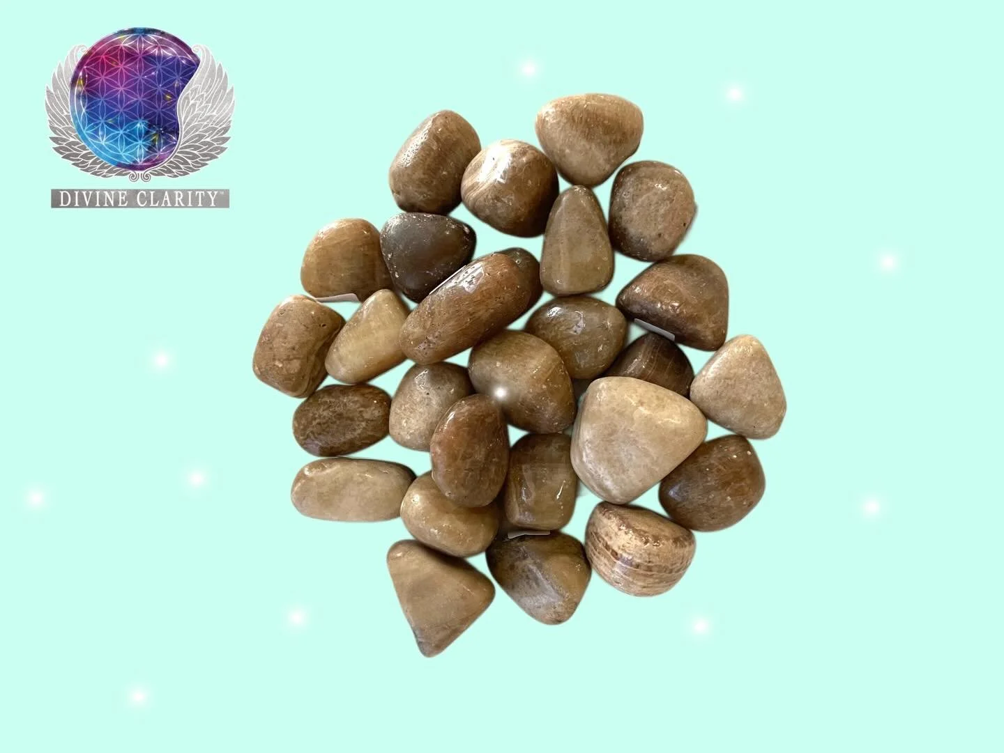 💛CRYSTAL OF THE WEEK💛 

This week&rsquo;s Crystal of the Week is Aragonite! 

Did you know that aragonite is a helpful stone for balancing the chakras? 💛

Properties: Strength, Balance, Courage
Chakras: All 7 
Zodiac: Capricorn 
Planet: Earth 
Ele