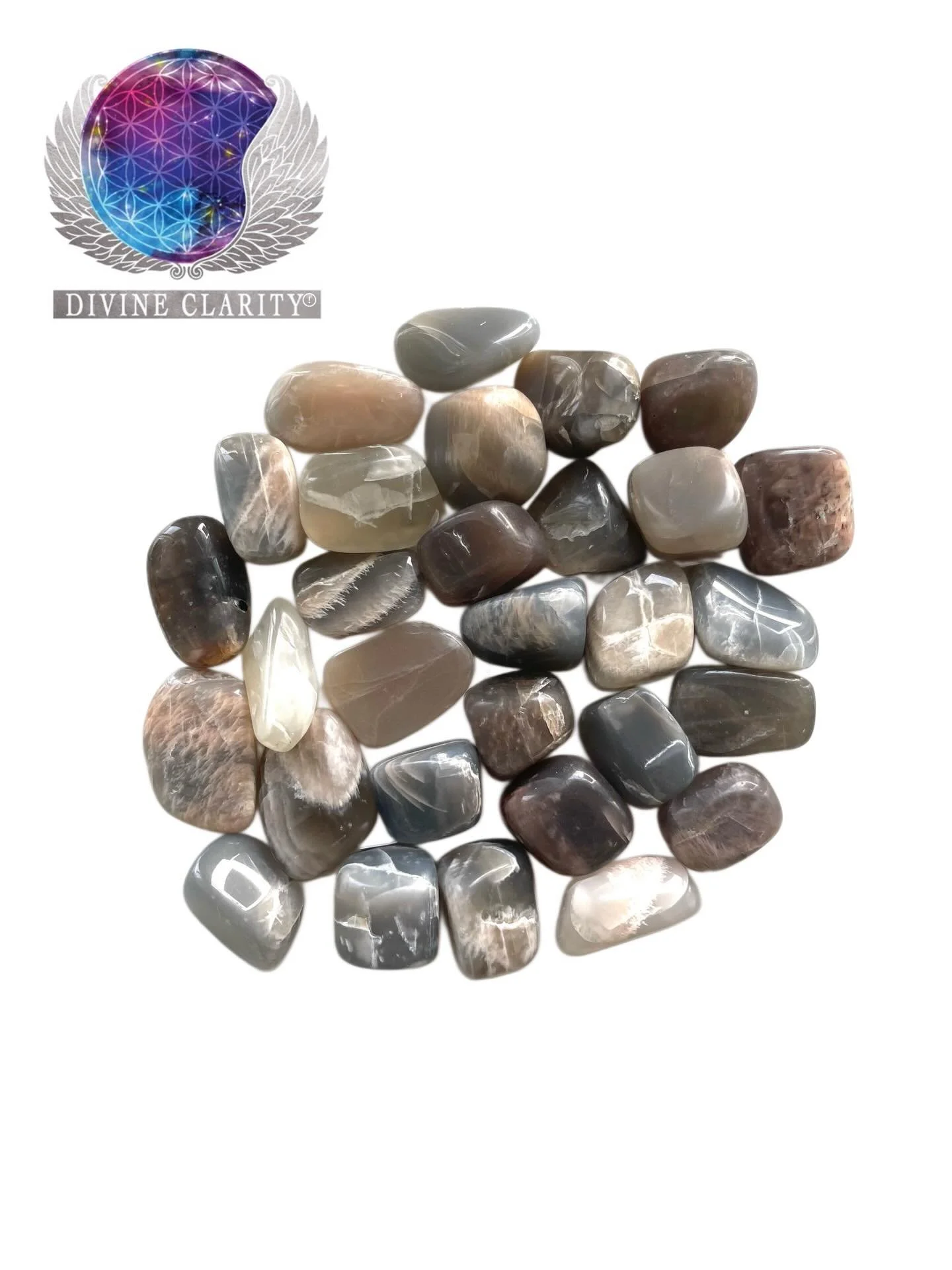 🖤CRYSTAL OF THE WEEK🖤

This week&rsquo;s Crystal of the Week is Black Moonstone 🖤

This stone is excellent for helping you to ground yourself! 

Properties: Intuition, Hormonal Balance, Divine Feminine, Protection
Chakras: Sacral &amp; Root Chakra