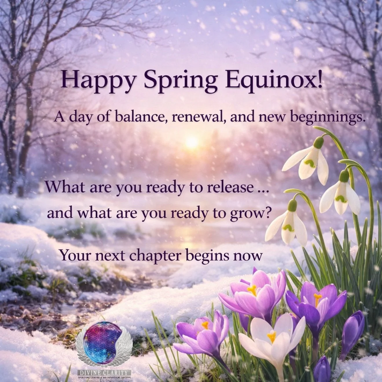 A sacred moment of balance ✨Light and dark meet, endings and beginnings intertwine. Even in the snow, new life is quietly emerging. Trust what is unfolding within you.
www.divineclarity.com