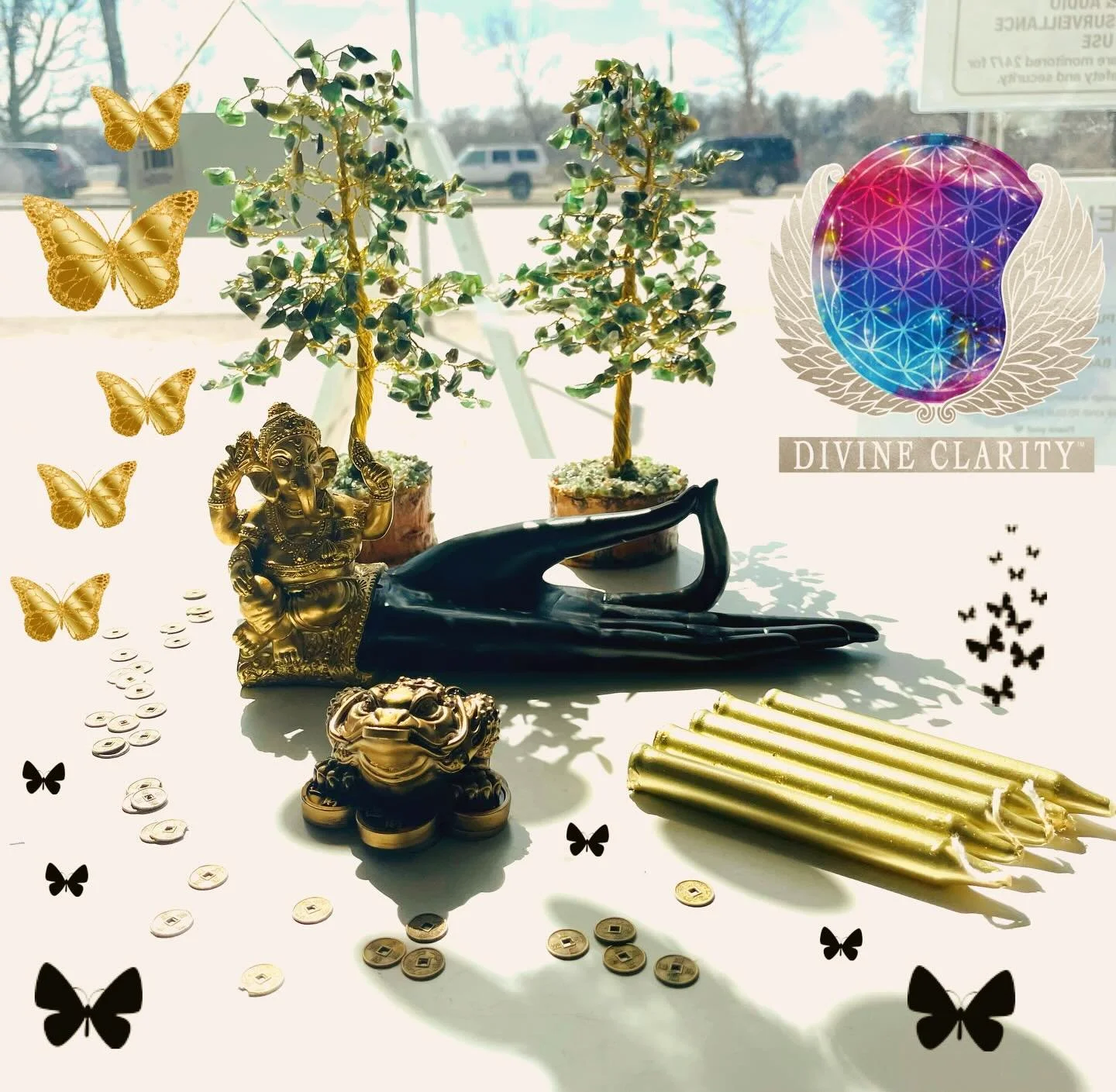 🦋 We&rsquo;re open 9am - 9pm today! Come stop by our shop at 2071 Portage Avenue and check out all our new magical goodies we have to offer!🦋 

✨We also have an online shop: www.divineclarity.com 
Open 24/7, where you can check out everything we ha