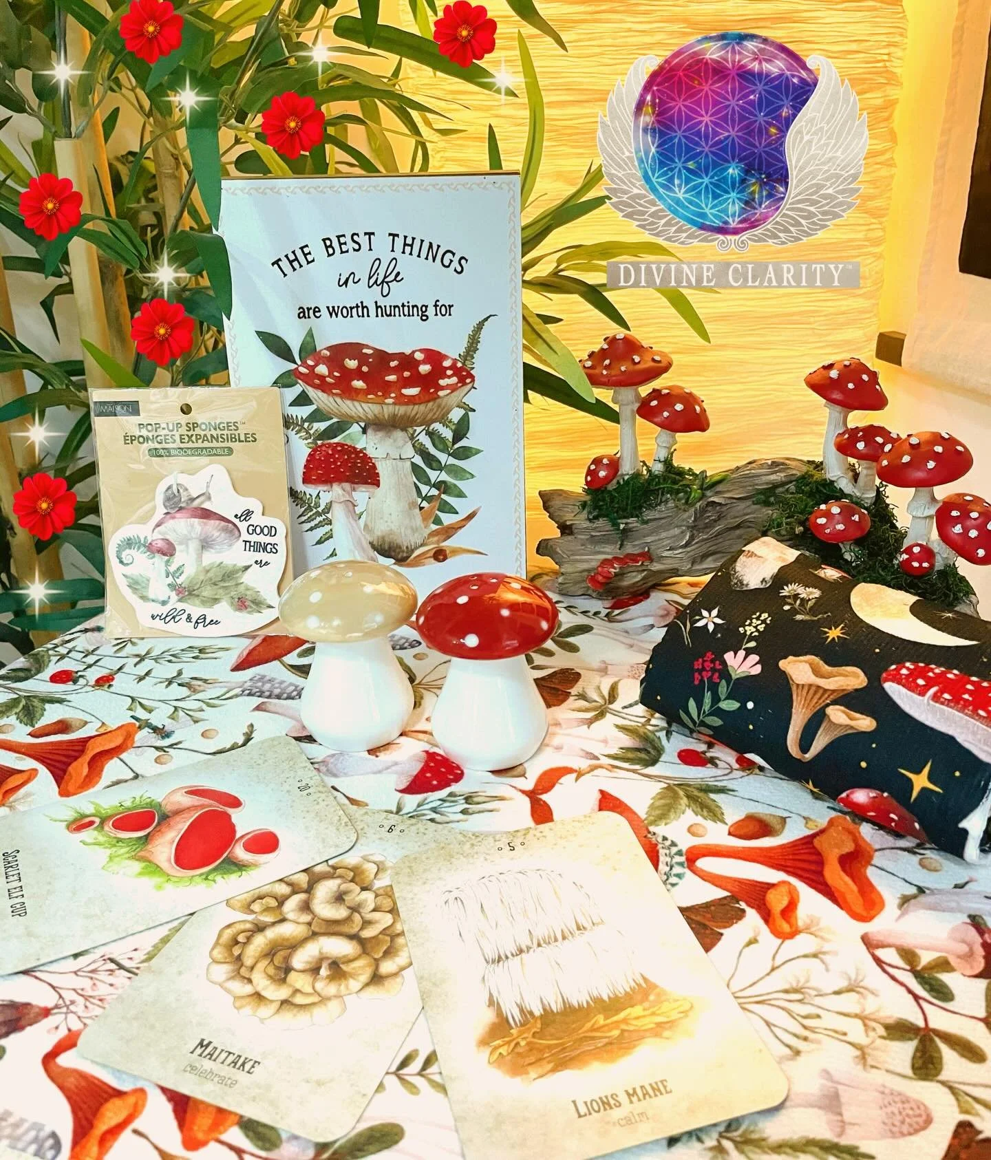 🍄&zwj;🟫 We&rsquo;re open 10am - 6pm today! Come stop by our shop at 2071 Portage Avenue and check out all our new magical goodies we have to offer! 🍄&zwj;🟫 

✨We also have an online shop: www.divineclarity.com 
Open 24/7, where you can check out 