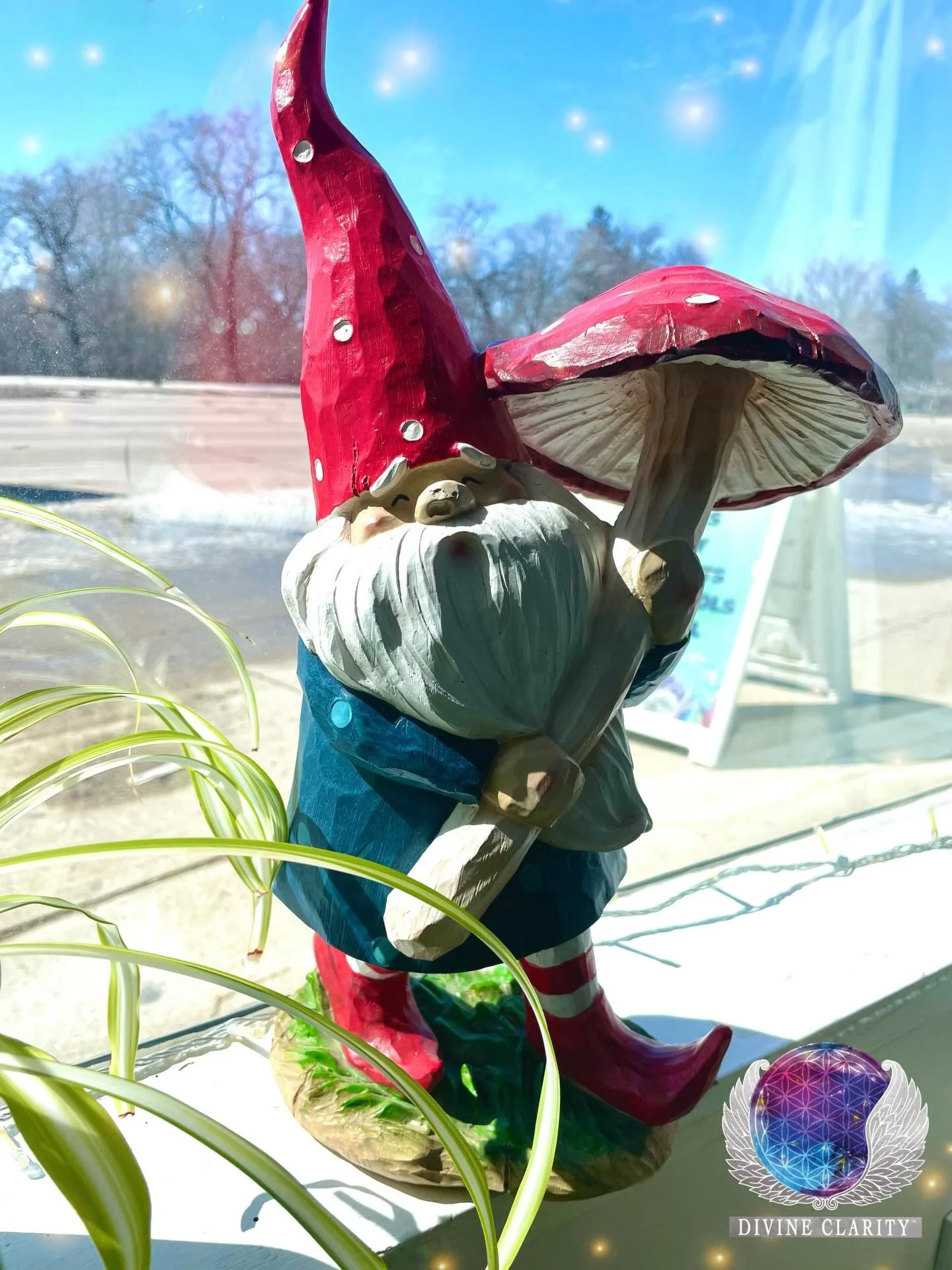 There may still be snow and ice outside, but at Divine Clarity Spring is in full bloom!!

We have been receiving all sorts of garden decor as well as gnomes, fairies, and more!

Come shop today from 9AM-5PM or shop online at https://divineclarity.sho