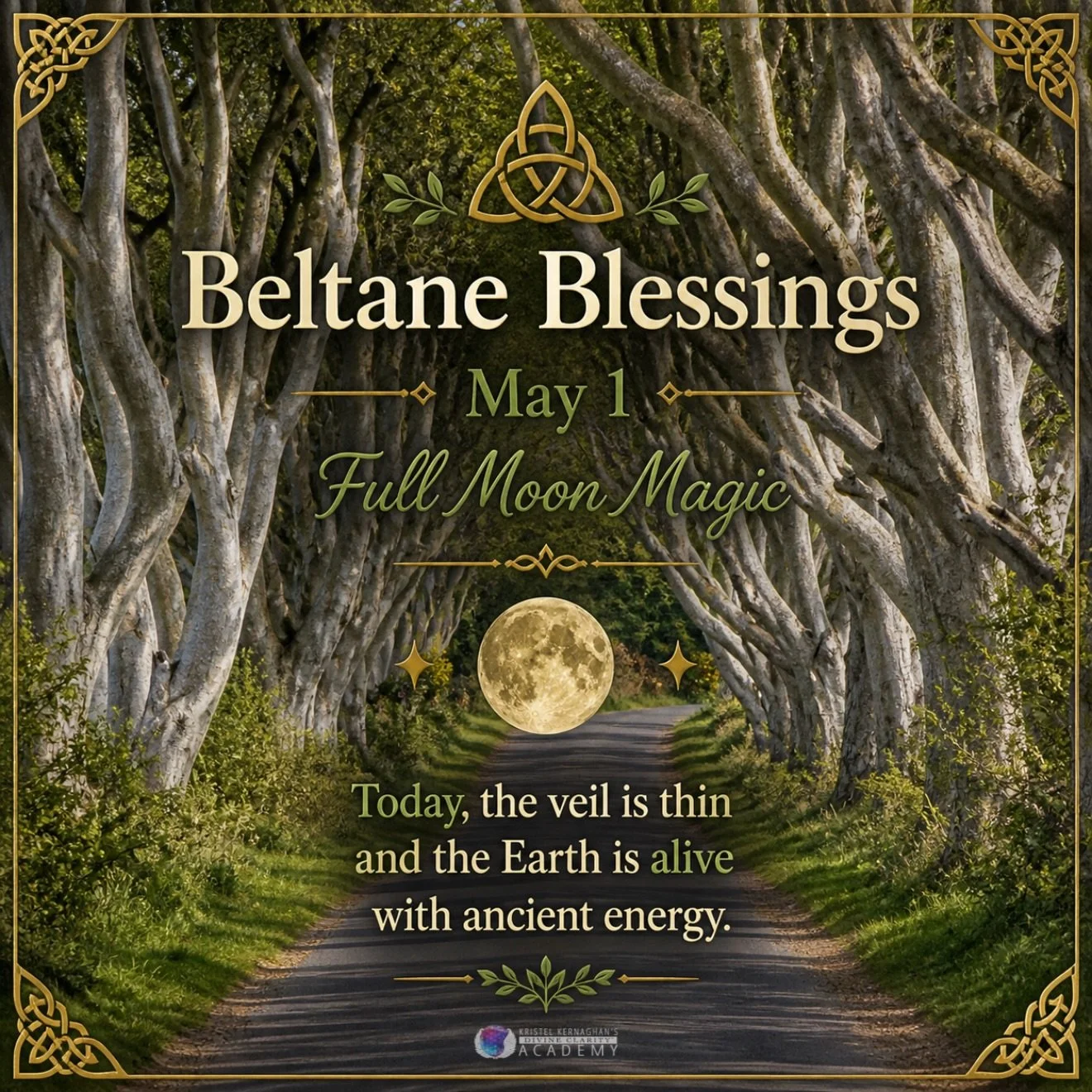 Beltane marks the turning of the wheel&hellip; a sacred shift into growth, expansion, and new beginnings.

With the full moon illuminating the path, this energy is amplified and alive.

A reminder that life is always moving forward,
✨ what you nurtur