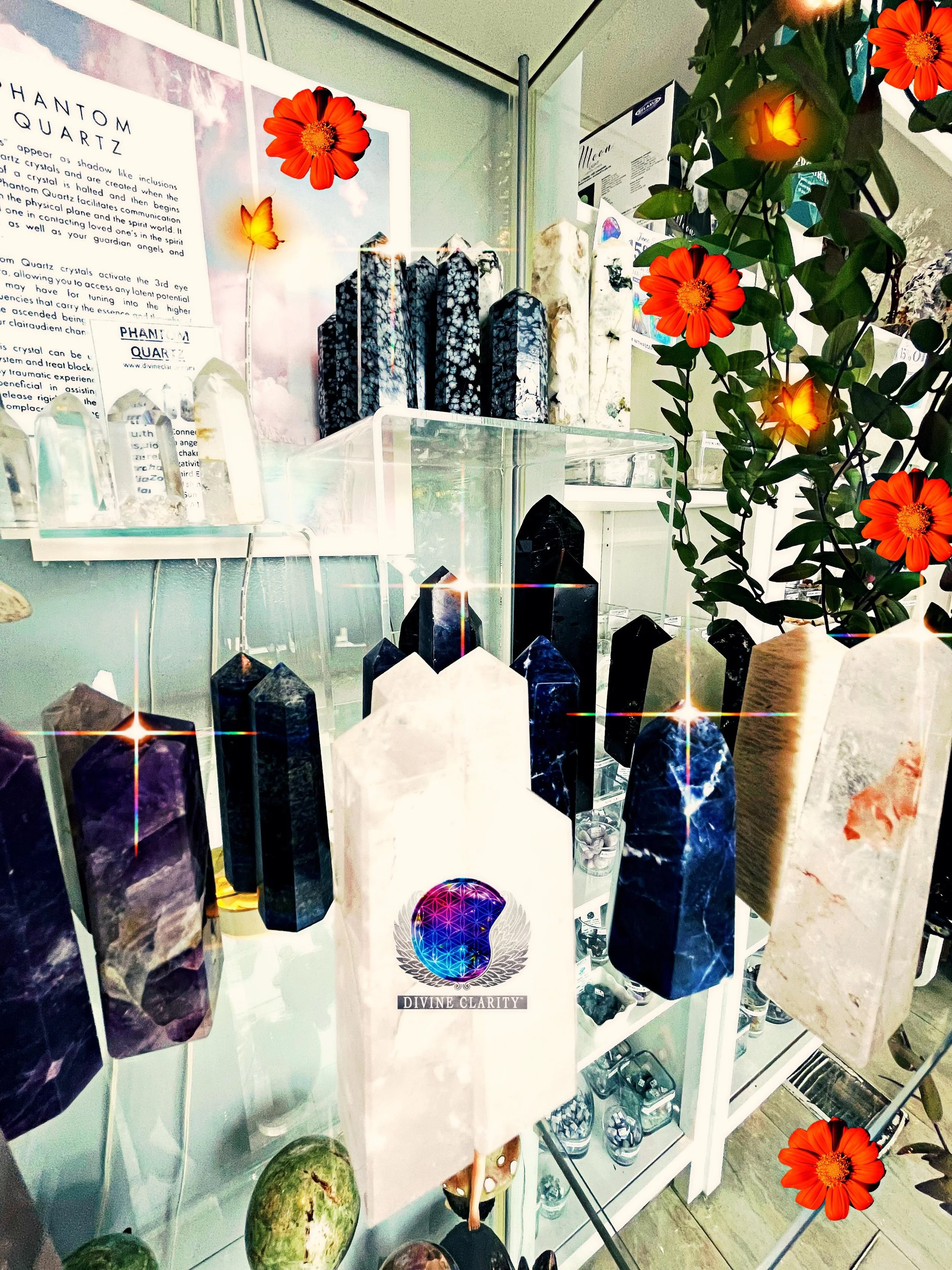 🦋 We&rsquo;re open 9am - 8pm today! Come stop by our shop at 2071 Portage Avenue and check out all our new magical goodies we have to offer! 🦋 

✨We also have an online shop: www.divineclarity.com 
Open 24/7, where you can check out everything we h
