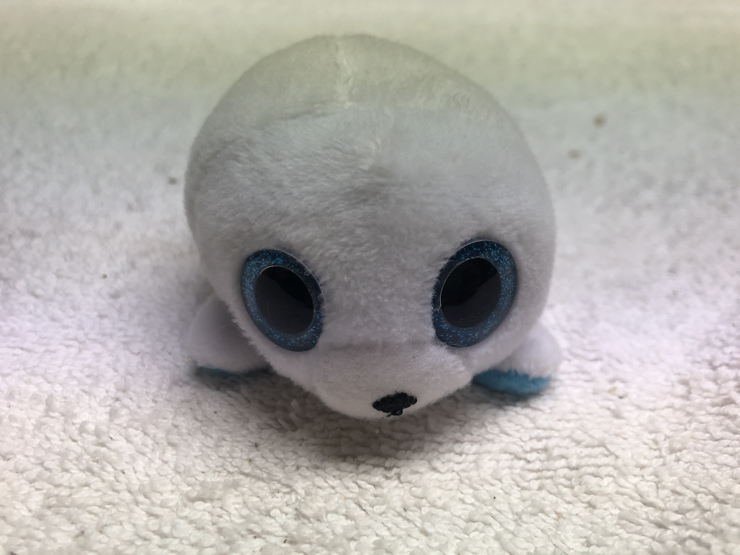 IMG_5398.png