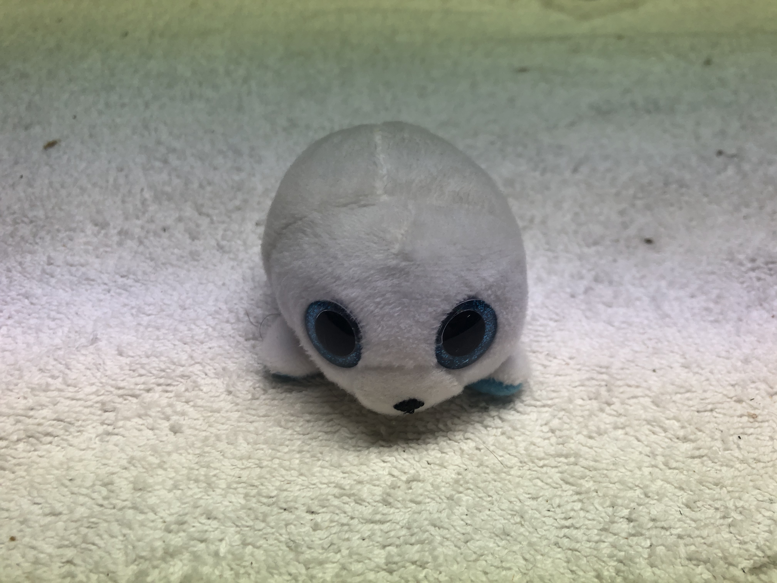 IMG_5402.png
