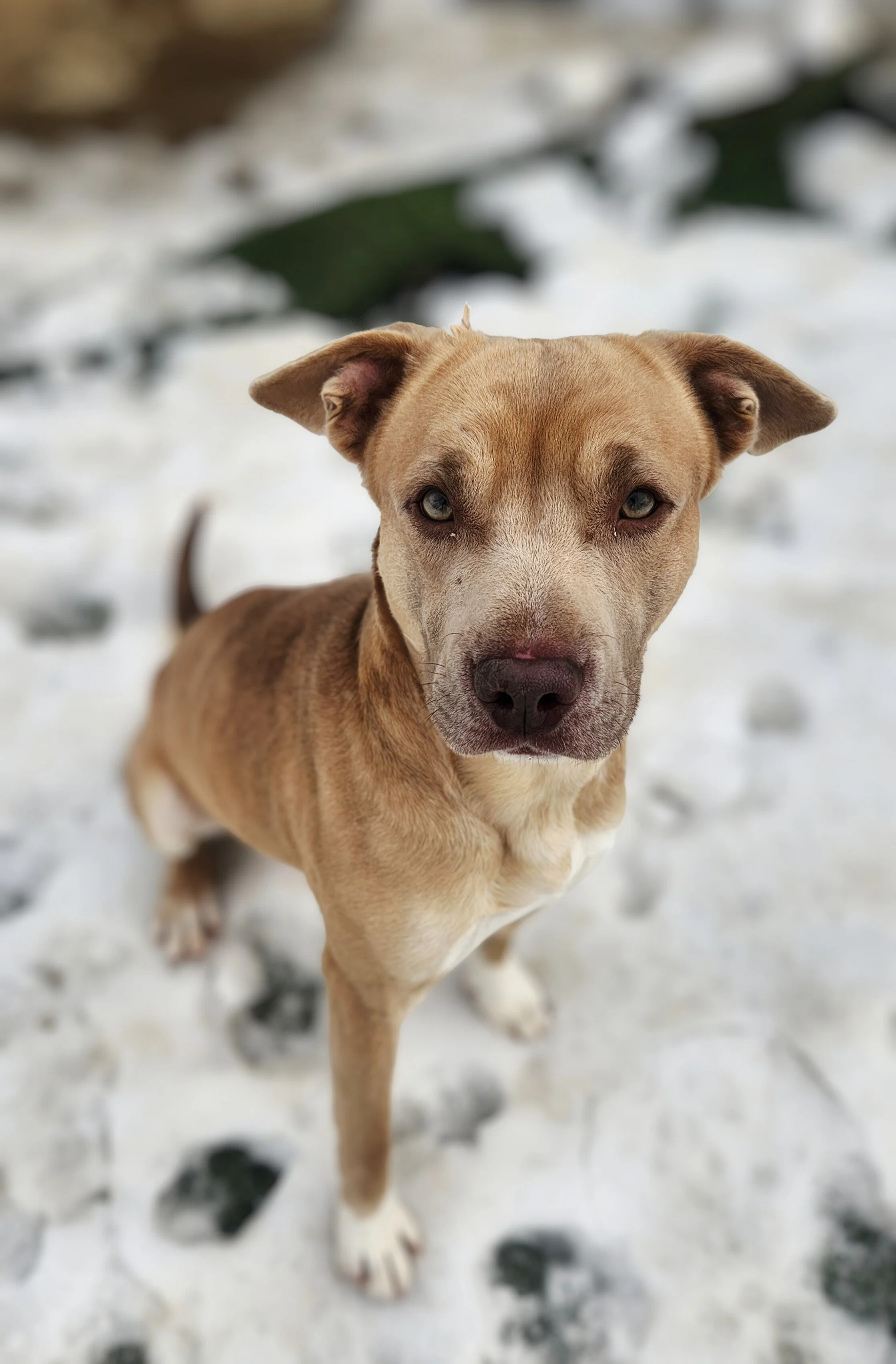 Monthly Board Meeting