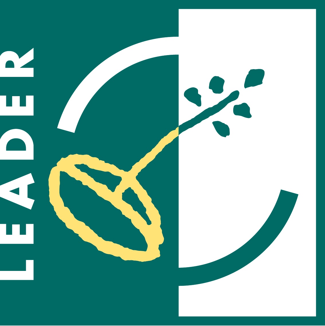 LEADER logo.jpg