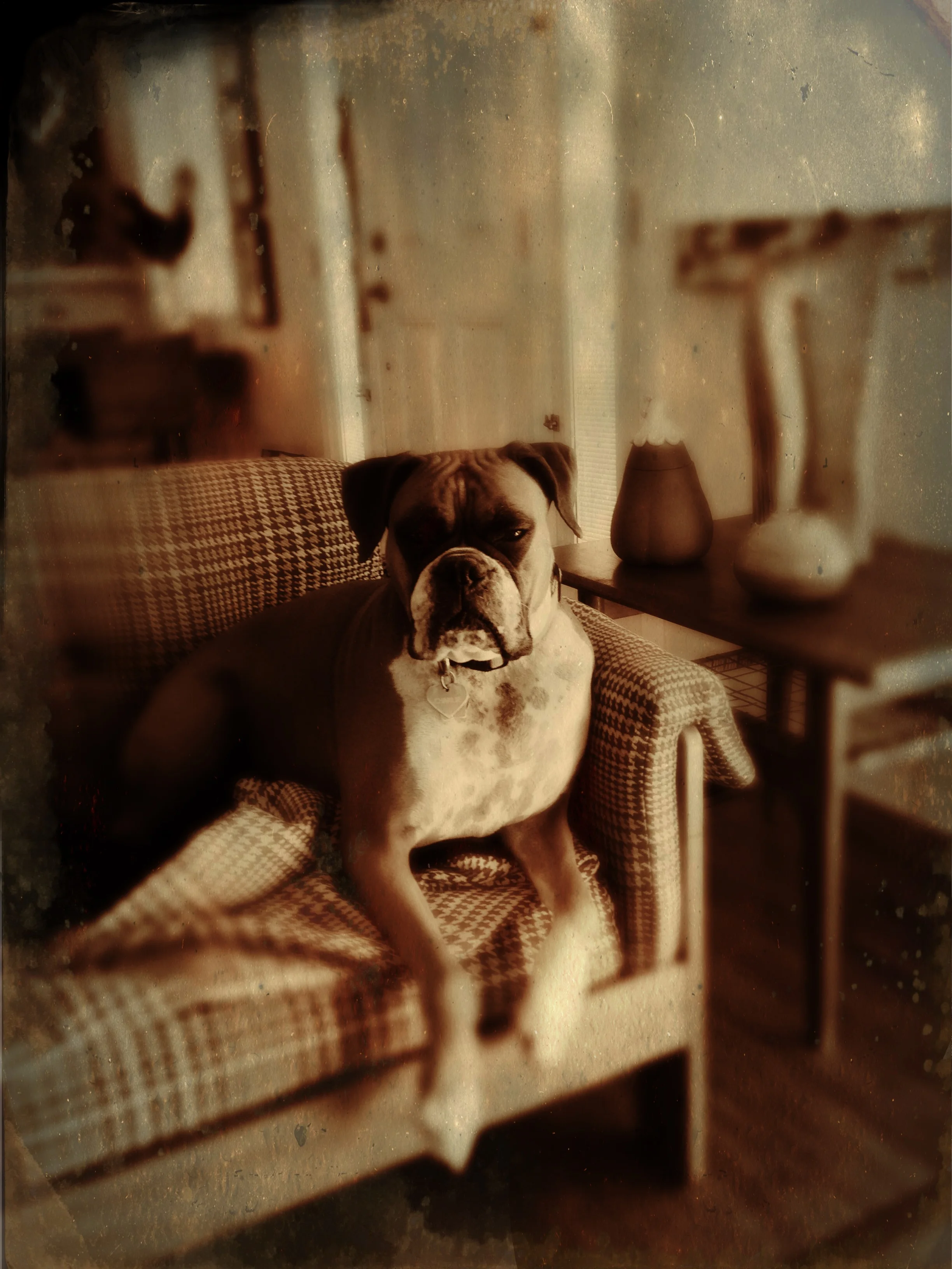 charlie kathleen ousley $350 11x14.jpg