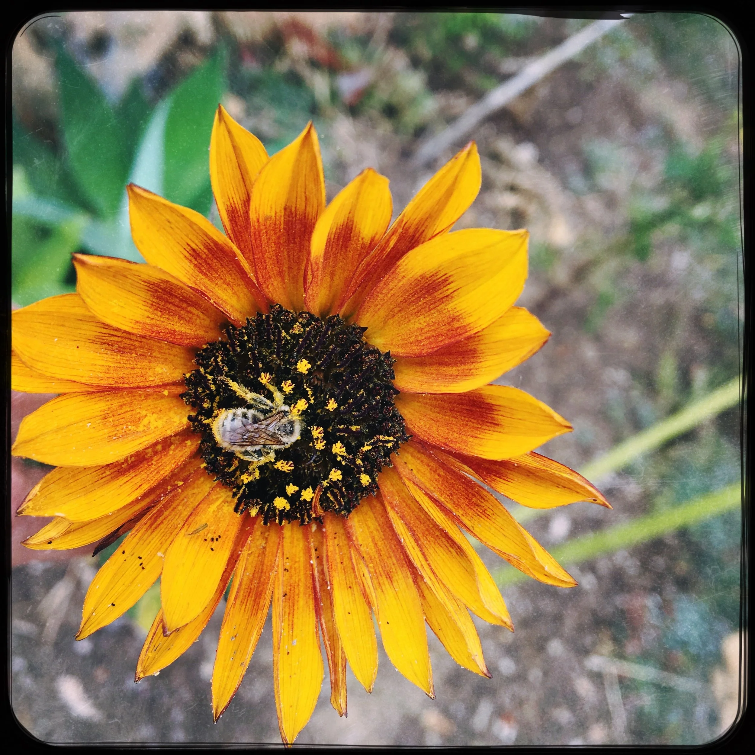 Kathleen Ousley-Coated-$250-10 x 10.jpg